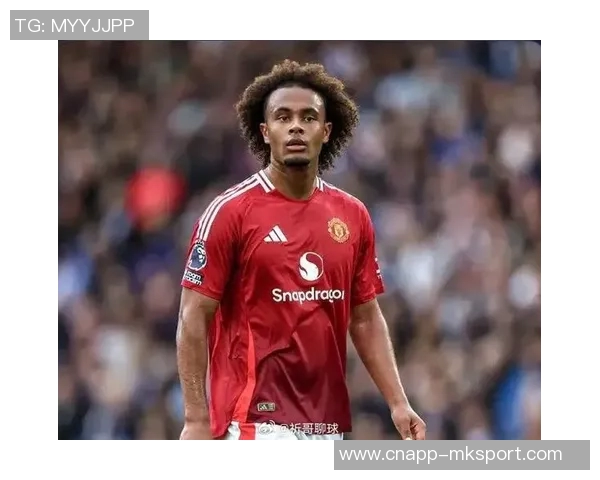 米体报道罗马冬窗或引进齐尔克泽同时考虑退租埃文弗格森 米体报道罗马冬窗或引进齐尔克泽同时考虑退租埃文弗格森